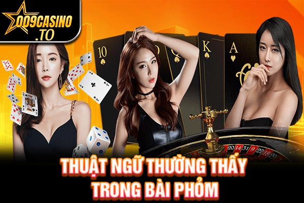 Thuật ngữ thường thấy trong bài phỏm